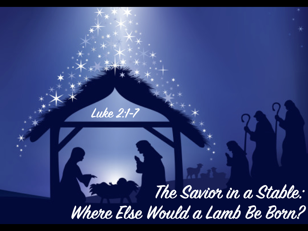 The Savior in a Stable: Where Else Would a Lamb Be Born?